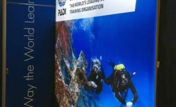 Isoframe In Singapore