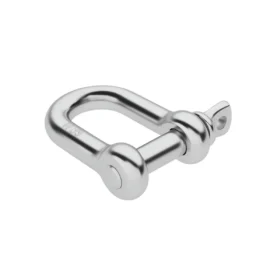 Stainless Steel D Shackle