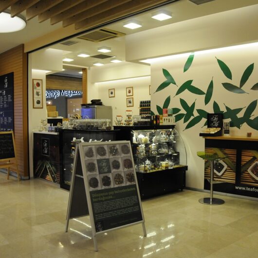 Elite Indoor Snap A-Frame