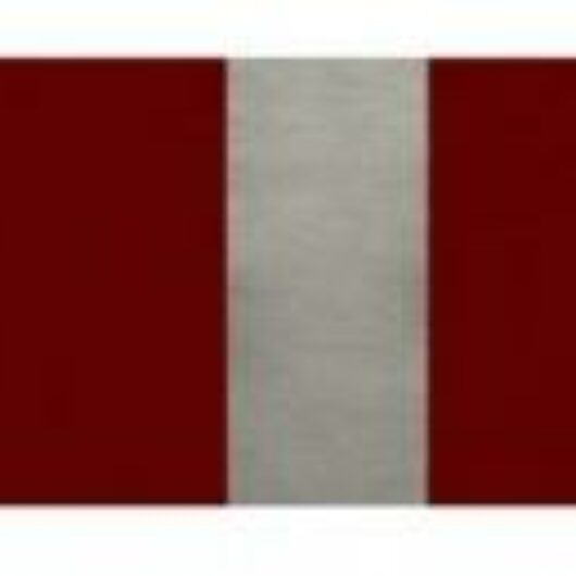 MagTape Ruler MagTape Ruler