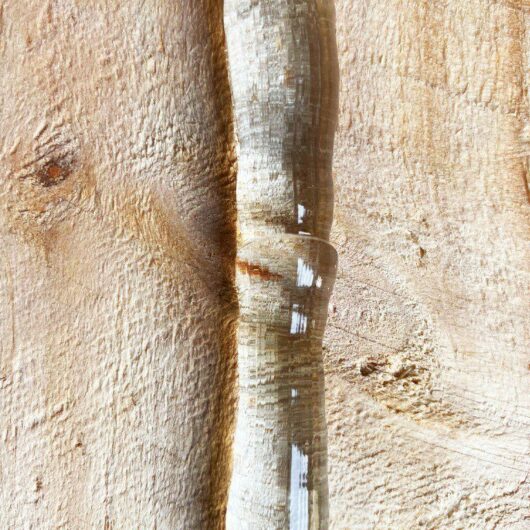 Rite Invisifix Clear Construction Adhesive