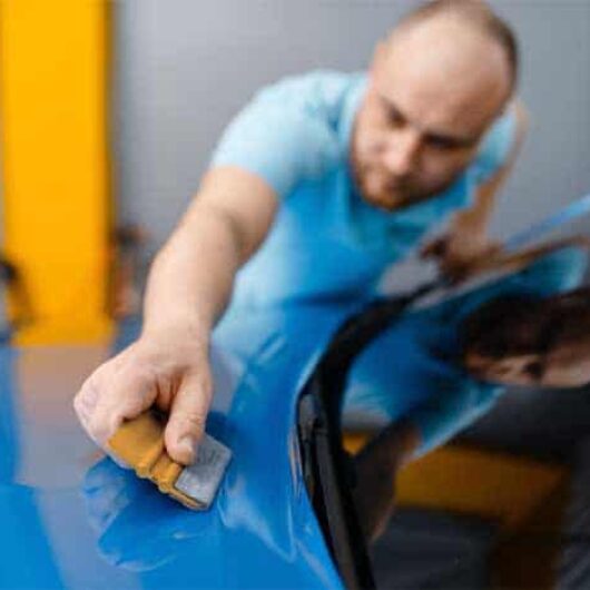 Everlast Sewn-In Squeegee