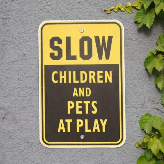 Thief Proof Countersunk Screw with Anchor Thief Proof Countersunk Screw with Anchor