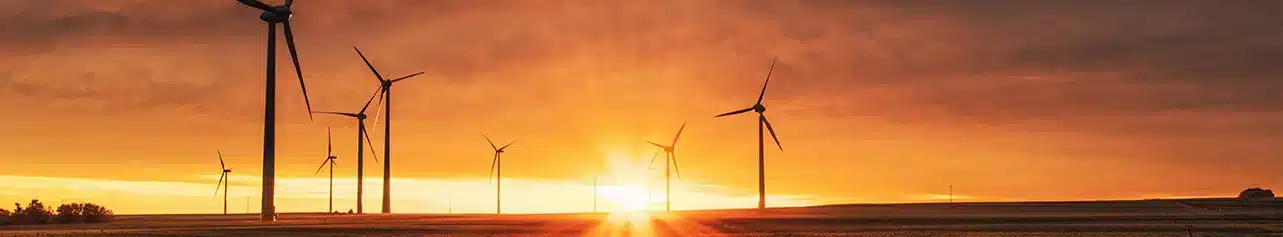 Sustainability Practices – Eco-Friendly Materials and Processes in Signage